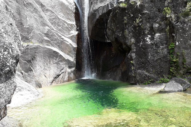Peneda-Gerês National Park - Nature & Tastings - - Delicious Lunch Options