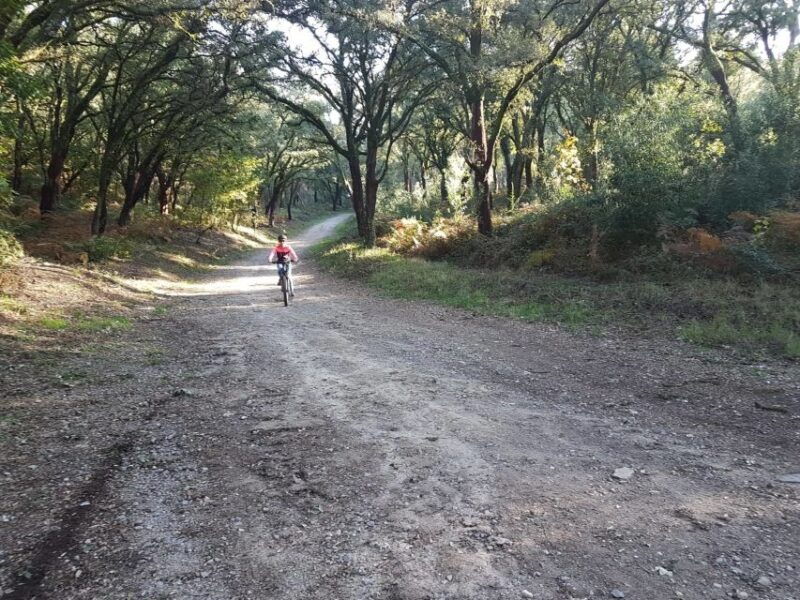 Peneda Gerês National Park: Self-Guided Electric Bike Tour - Practical Aspects of the Tour