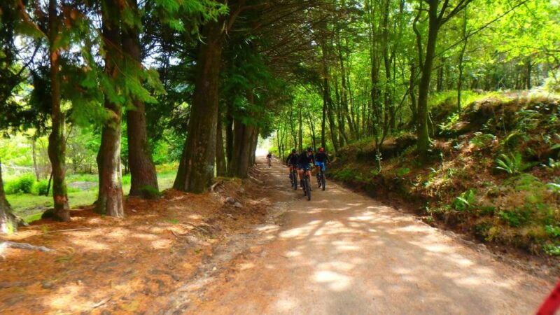 Peneda Gerês National Park: Self-Guided Electric Bike Tour - Final Thoughts: Who Is This Tour Best For?