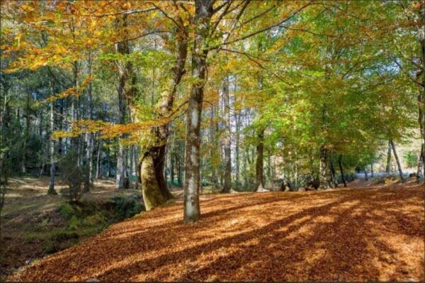 Peneda Geres Park: Explore Lost Villages and Hidden Gems - Discovering Traditional Villages