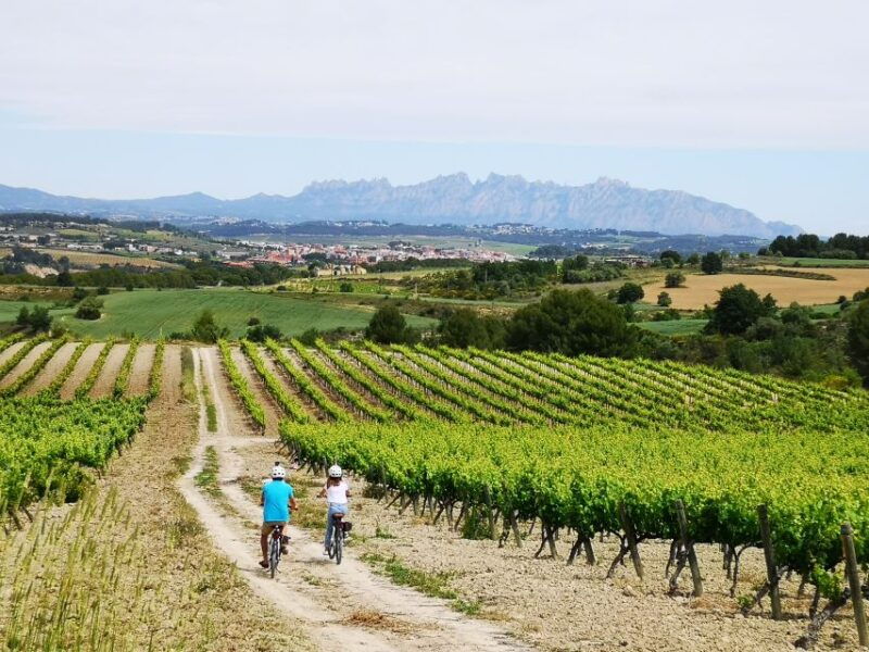 Penedès/Bcn: Self-Guided Ebike Tour With Guided Winery Visit - Cycling Through the Penedès Wine Region