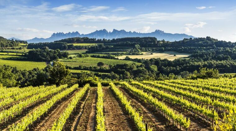 Penedès/Bcn: Self-Guided Ebike Tour With Guided Winery Visit - Scenic Cycling Experience