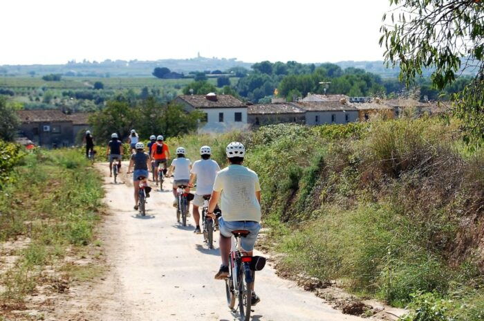 Penedès/Bcn: Self-Guided Ebike Tour With Guided Winery Visit - Important Considerations