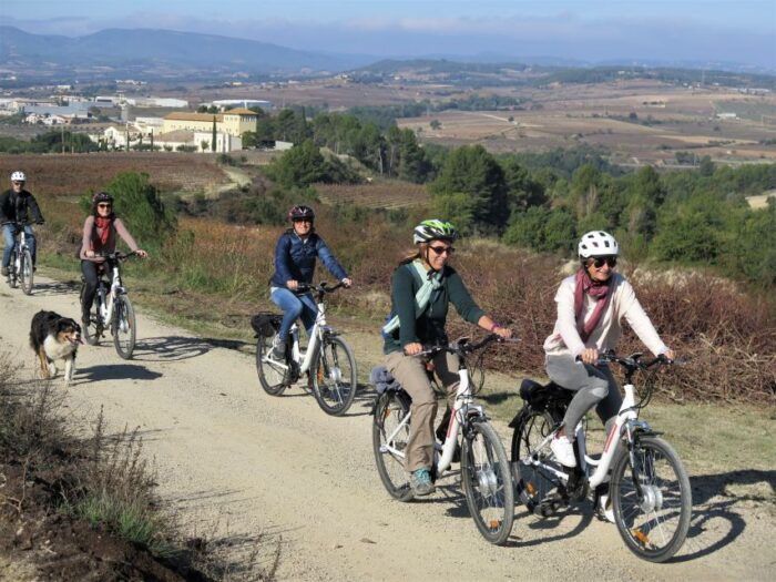 Penedès/Bcn: Self-Guided Ebike Tour With Guided Winery Visit - Booking and Availability