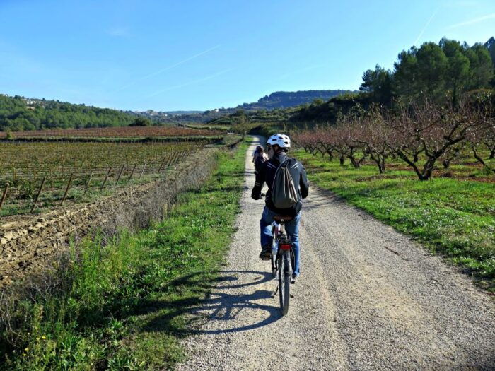 Penedès/Bcn: Self-Guided Ebike Tour With Guided Winery Visit - Common Questions