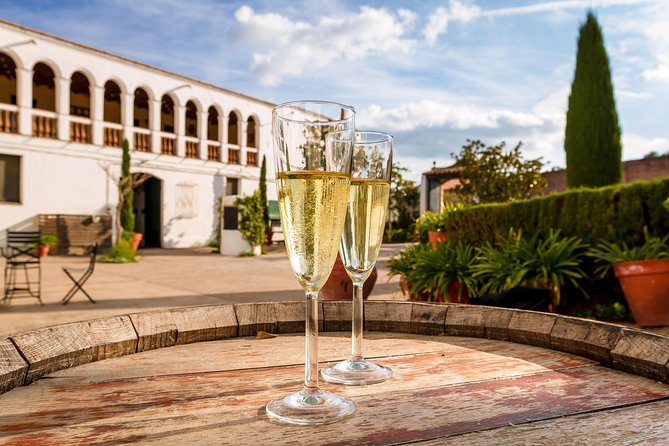 Penedès, Cava & Wine Private Tour From Barcelona - Wine Tasting Experience