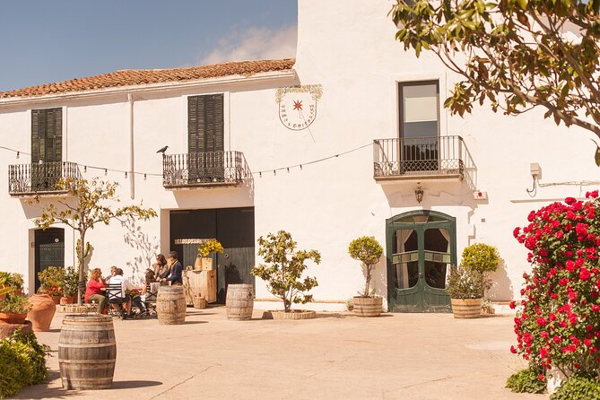 Penedès, Cava & Wine Private Tour From Barcelona - Cava Cellar Visit