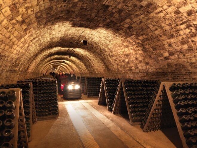 Penedès: Codorniu Winery Tour With Cava Tasting - Select Participants and Date