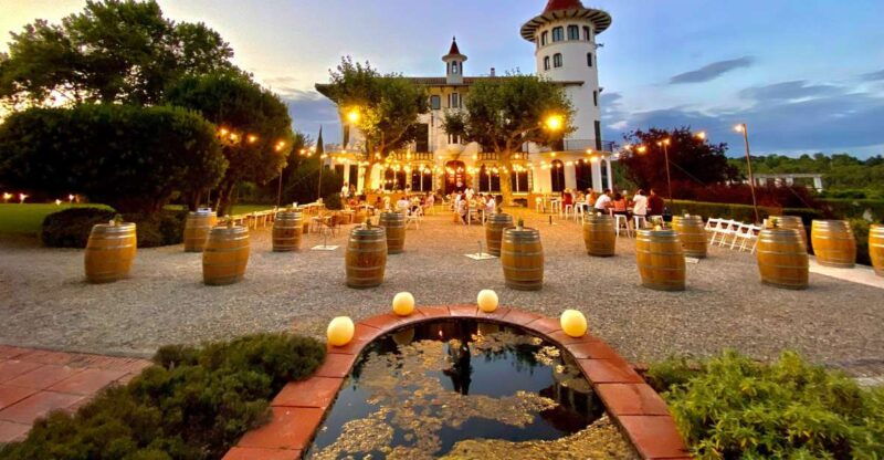 Penedès: Discovery Tour With Cava Tasting - Good To Know