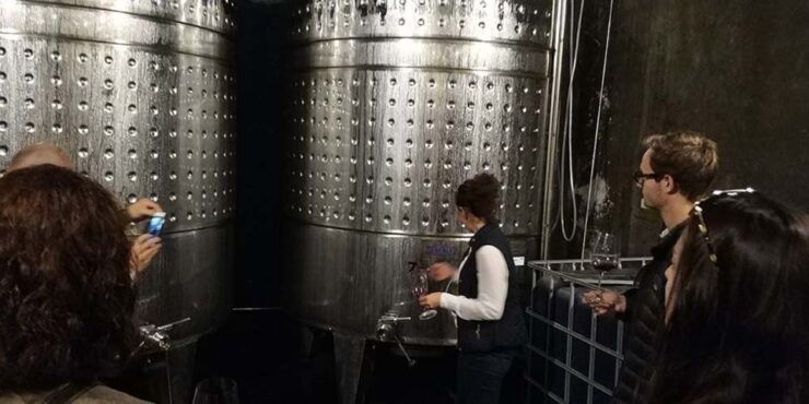 Penedes: Private Wine and Cava Tasting Tour - Tour Details