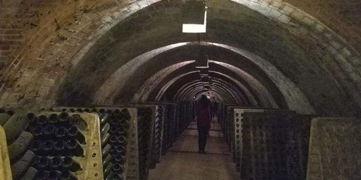 Penedes: Private Wine and Cava Tasting Tour - Itinerary
