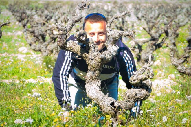 Penedès: Self-Guided Bike Tour With Winery Visit - Inclusions