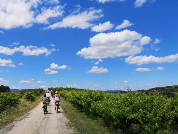 Penedès: Self-Guided Bike Tour With Winery Visit - The Sum Up