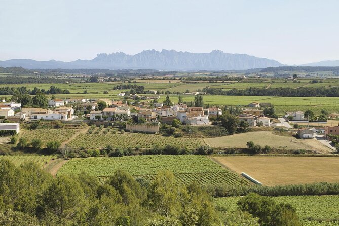 Penedes Wine & Cava Tasting & 4WD Vineyards Tour From Barcelona - Pricing and Booking