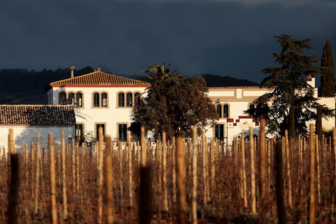 Penedes Wine & Cava Tasting & 4WD Vineyards Tour From Barcelona - Beautiful Grounds and Facilities