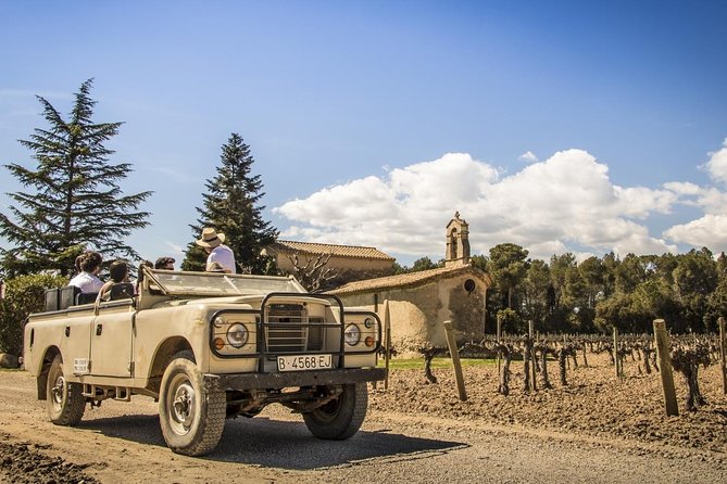 Penedes Wine & Cava Tasting & 4WD Vineyards Tour From Barcelona - Fantastic and Knowledgeable Tour Guide