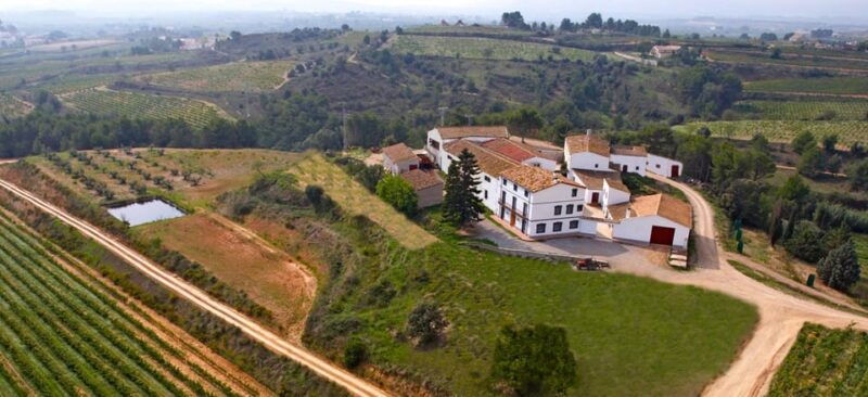 Penedes Wine Cellar Visit With Tasting From Barcelona - Good To Know