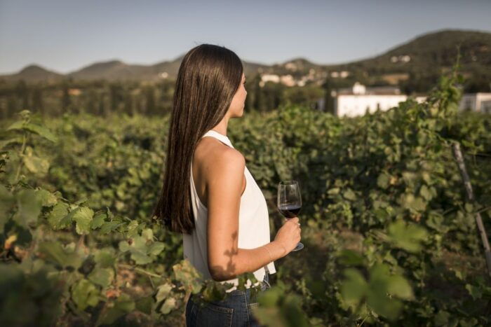 Penedes Wine Cellar Visit With Tasting From Barcelona - Customer Feedback and Recommendations