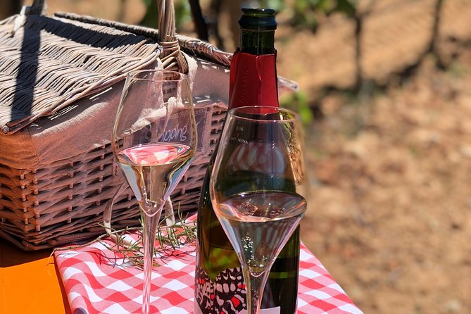 Penedès Wine Tour and Picnic Lunch - Barcelona - Overview of the Tour