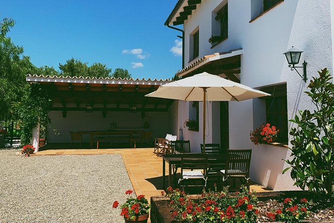 Penedès Wine Tour and Picnic Lunch - Barcelona - Cancellation Policy