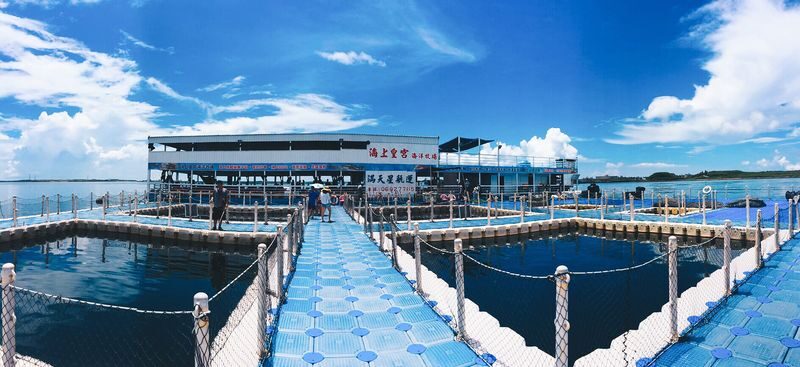 Penghu Marine Ranch: Marine Palace - Squid Fishing & Seafood BBQ - From Magong harbor to the floating platform