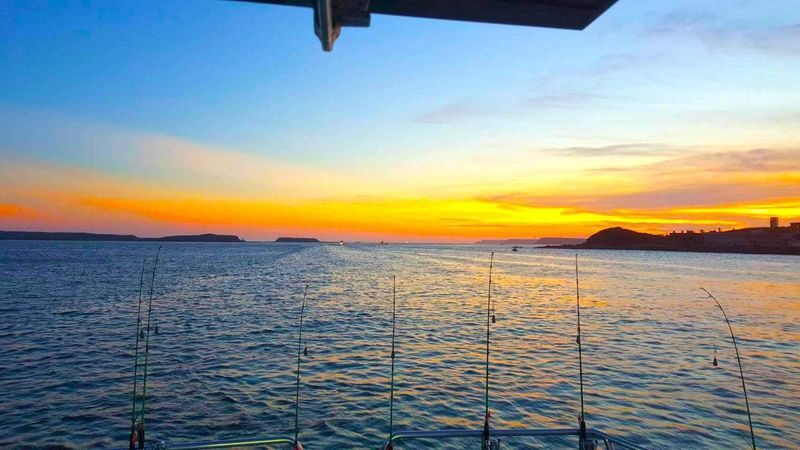 Penghu Marine Ranch: Marine Palace - Squid Fishing & Seafood BBQ - Practical details before you book