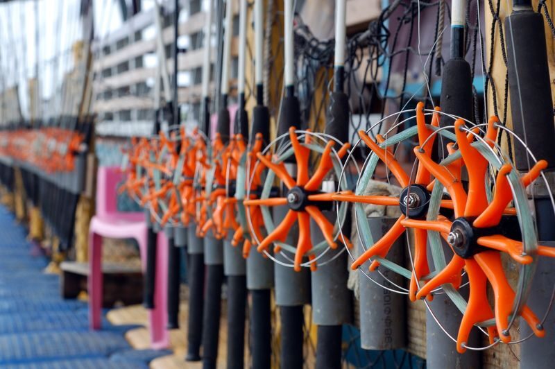 Penghu Marine Ranch: Marine Palace - Squid Fishing & Seafood BBQ - Who will enjoy this Penghu marine ranch?