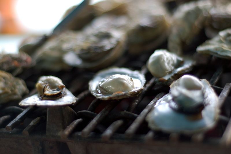 Penghu Marine Ranch: Marine Palace - Squid Fishing & Seafood BBQ - Should you book it?