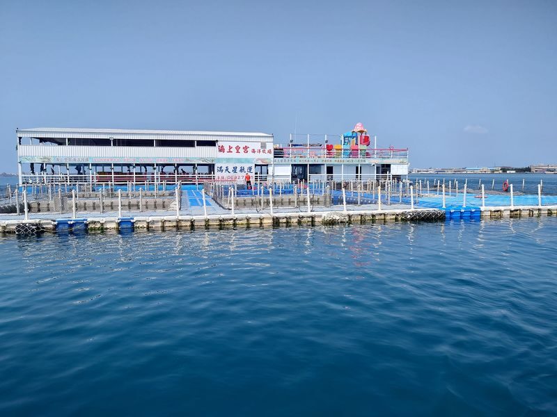 Penghu: Squid Fishing Experience at Night & Enjoy Squid Vermicelli - Practical Details for a Smoother Night