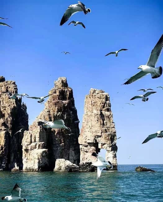 Penglai: Changdao Island Tour - An In-Depth Look at the Penglai: Changdao Island Tour