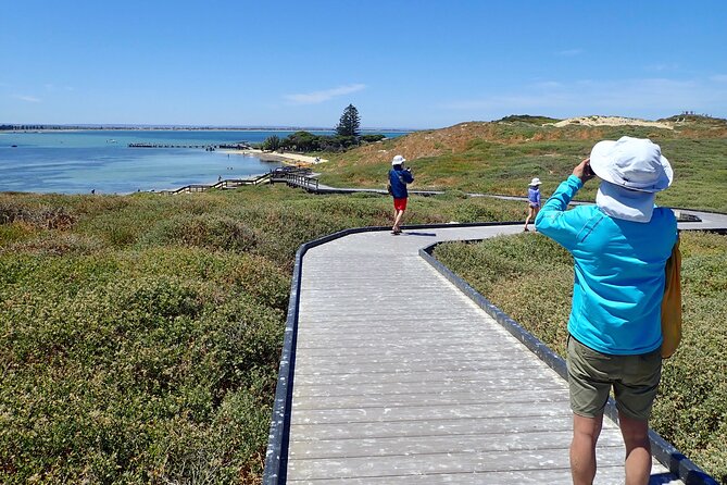 Penguin and Seal Islands Sea Kayaking Experience - Inclusions and Important Information