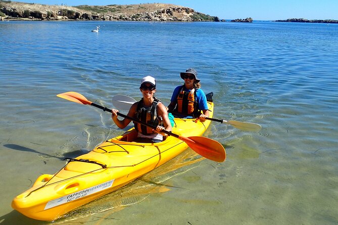 Penguin and Seal Islands Sea Kayaking Experience - Directions