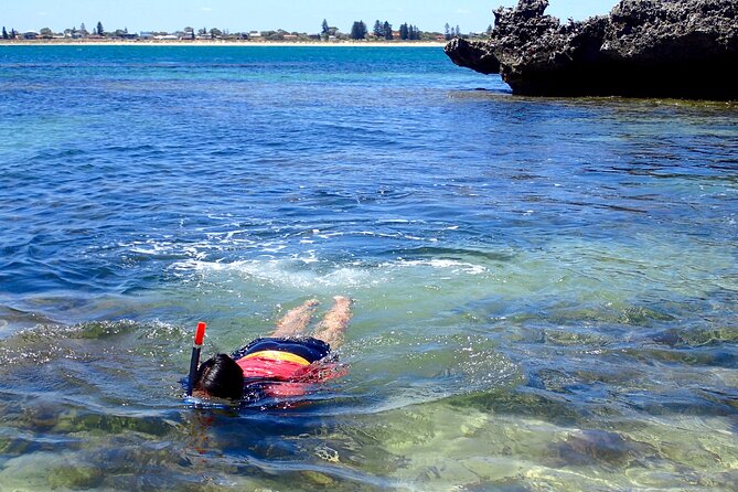Penguin and Seal Islands Sea Kayaking Experience - Common Questions