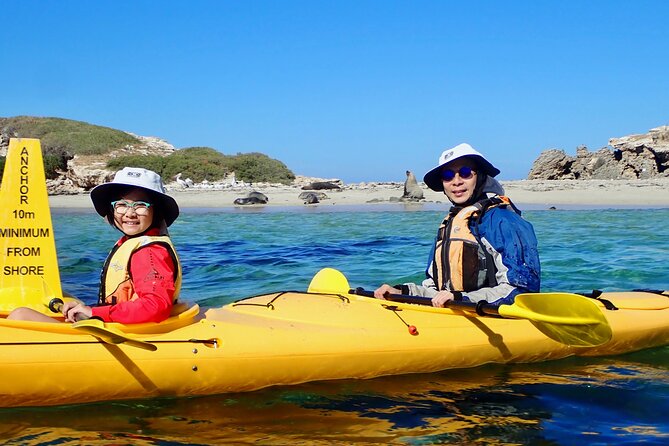Penguin and Seal Islands Sea Kayaking Experience - The Sum Up