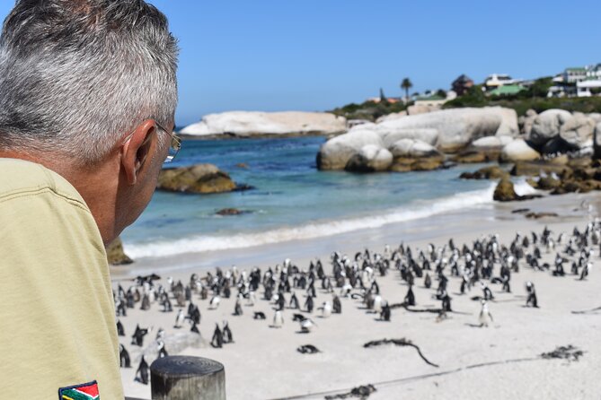 Penguin Colony at Boulders Beach With a Conservationist W/ Admission Add-On - Date and Travelers