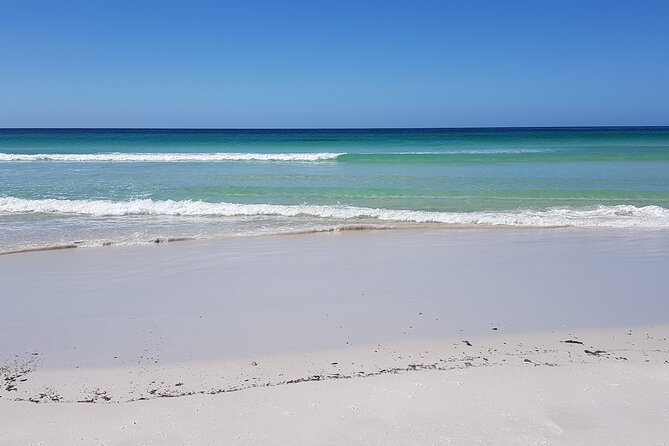 Penguin Encounter at Berthas Beach & Yorke Bay Stanley Tour - Tour Details and Highlights