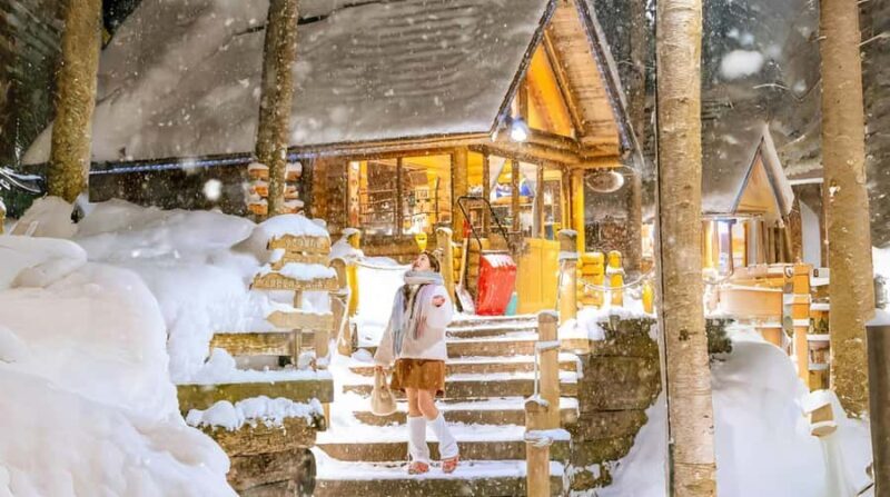 Penguin Fun & Snowmobile : Sapporo Winter (Asahiyama Zoo) - The Itinerary Breakdown: What Makes Each Stop Special