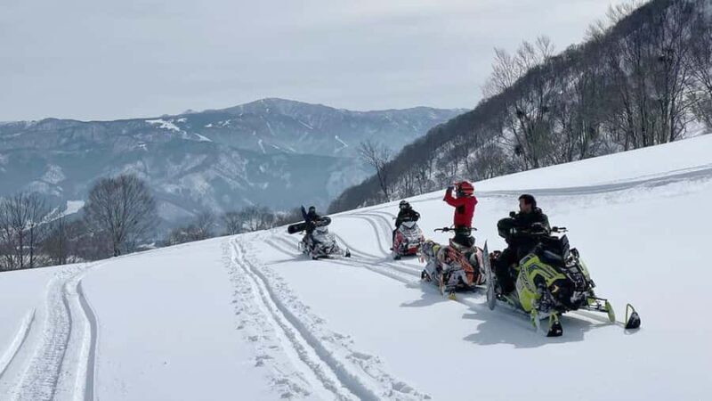 Penguin Fun & Snowmobile : Sapporo Winter (Asahiyama Zoo) - Final Thoughts