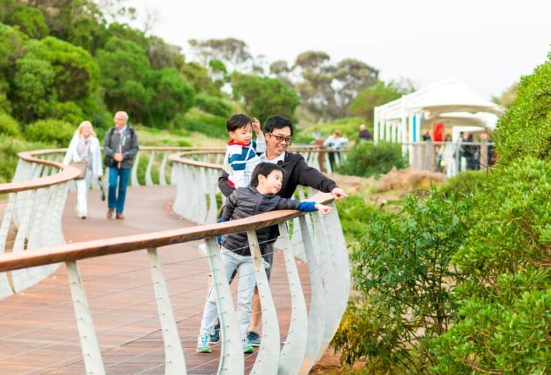 Penguin Parade: General Viewing Ticket - What is the Penguin Parade Experience?