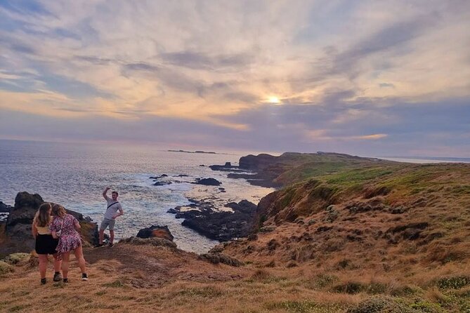 Penguin Parade With Winery Dinner & Tasting From Phillip Island - Common Questions