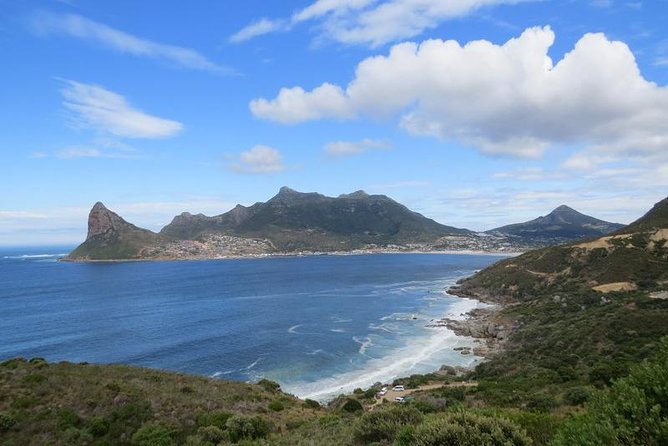 Penguin Time! Private Peninsula Experience. - Reviewer Testimonial