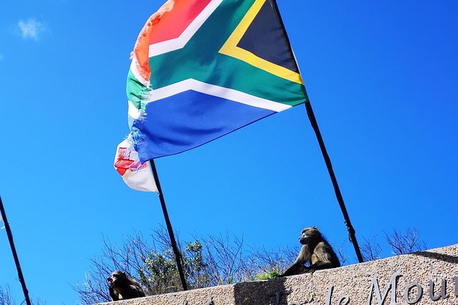 Penguin Time! Private Peninsula Experience. - Title and Content Information