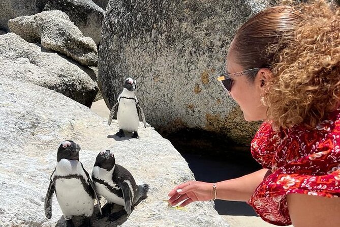 Penguin Watching & Beach Day at Boulders Beach, Cape Town - Pickup Information