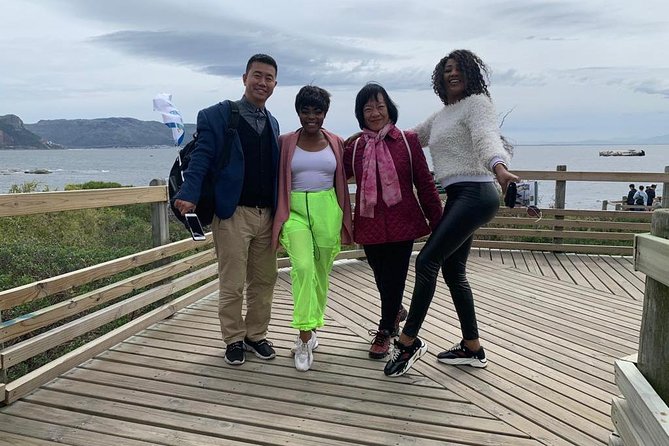 Penguins, Cape Point & Table Mountain. - Private Guided Tour of Cape Towns Sights