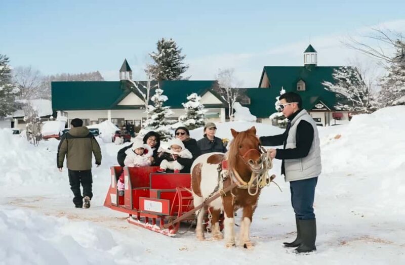 Penguins, Countryside & Fairytale VillageSapporo Day Trip - Good To Know