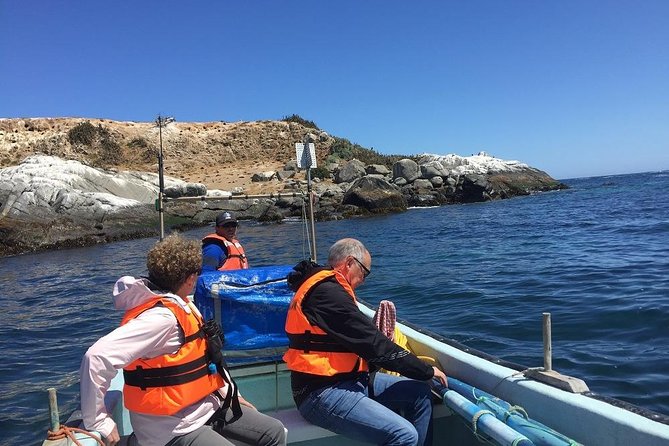 Penguins, Horseback Riding, and Sand Dunes Tour From Santiago (Feb ) - Activities Included