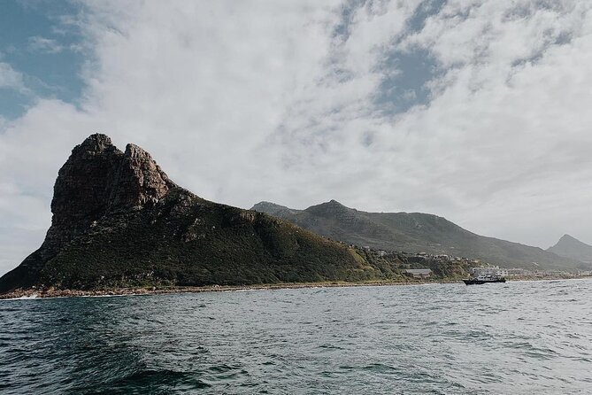 Penguins Private Tour- Cape of Good Hope & Cape Point Tour From Cape Town - Customer Reviews