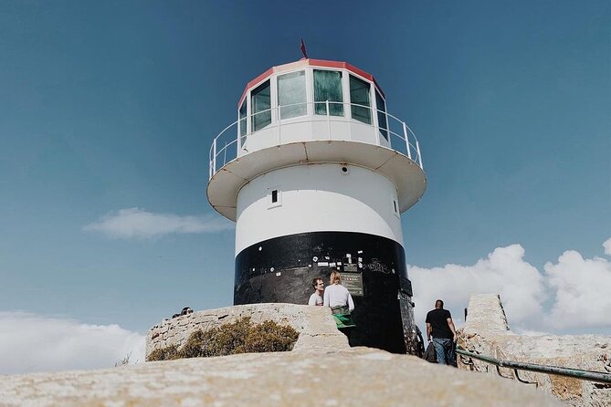 Penguins Private Tour- Cape of Good Hope & Cape Point Tour From Cape Town - Minimum Traveler Requirement
