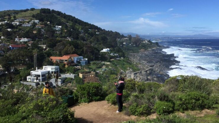 Penguins Watching Cachagua Island in Zapallar From Santiago - Booking Details