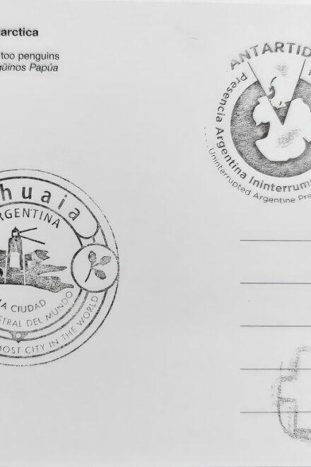 Penguins World Interactive Photo Exhibition - Experience Highlights